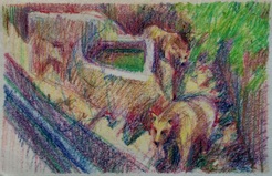Bears in the zoo
crayon Bears in the zoo
crayon